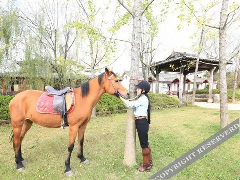 Шанграо: Houtang Holiday Manor