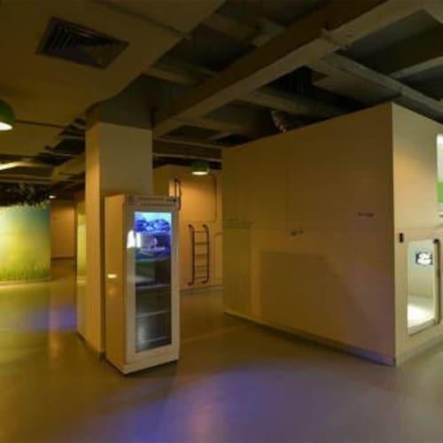 Шэньчжэнь: Shenzhen Qiyou Youth Hostel