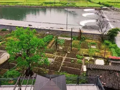 Шанграо: Xingxingyu Qixi Flower Garden