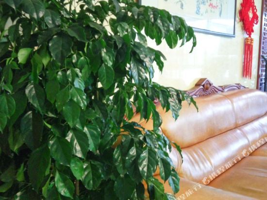 Инкоу: Ripple Hotel (Yingkou Passenger Station)