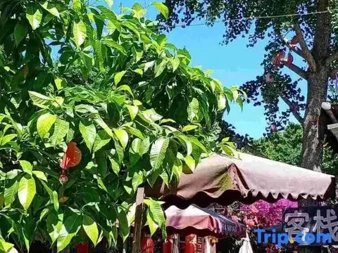 Наньчун: Zhengjia Hostel