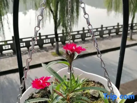 Наньчун: Zhengjia Hostel