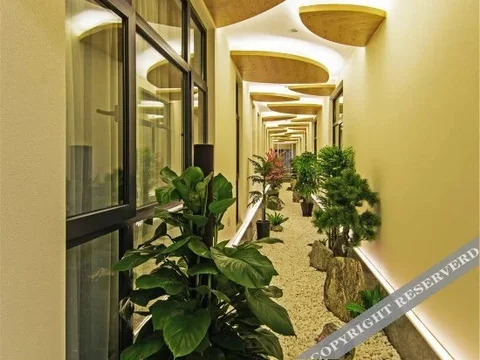Ханчжоу: Lily’s Hotel