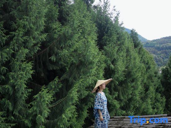 Баошань: Anzhi Ruosu Inn (Tengchong Heshun)