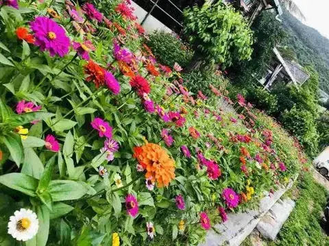 Джиангме: Xiachuan Changfu Hotel