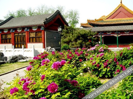Пекин: Chongxue Hotel