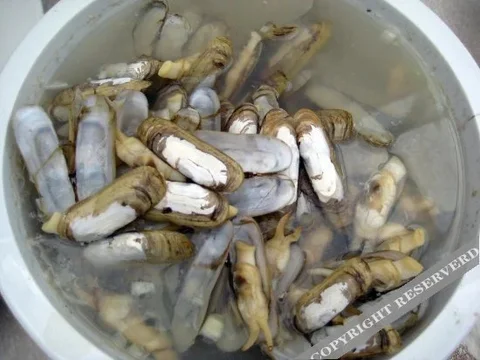 Пэнлай: Xiaoyutong Yujiale