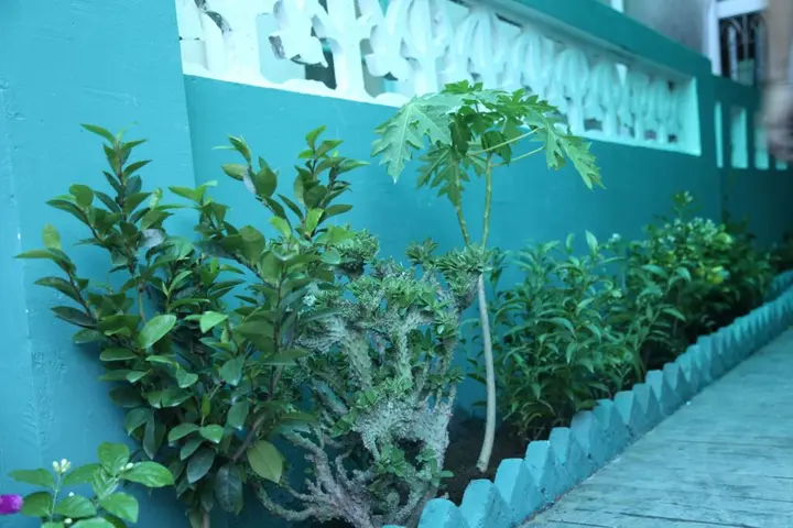 Сямынь: Xiexiejiao Guesthouse
