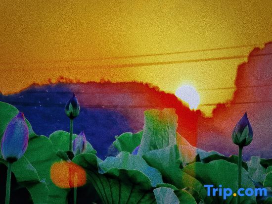 Пучжэхэй: Puzhehei Pusu Lake View Homestay