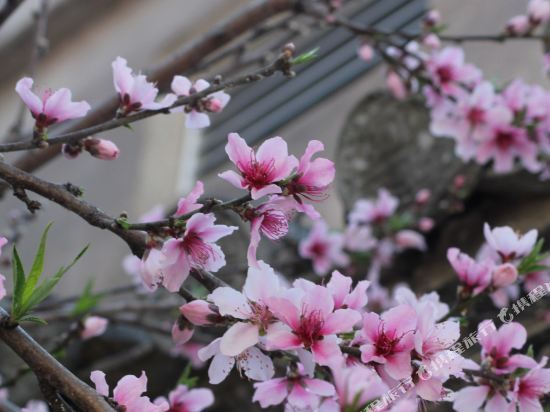 和顺古镇青轩寒舍精致客栈 — фото 1