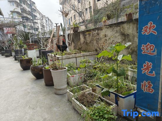 Чунцин: Jinyuan Hostel