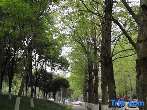 Чунцин: IU Hotel Chongqing Longtou Temple North Railway Station
