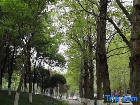 Чунцин: IU Hotel Chongqing Longtou Temple North Railway Station