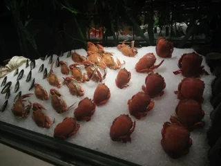 Сиань: Lanxi International Hotel
