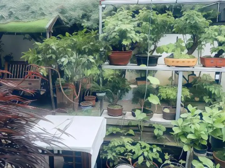 Цзиньцзэ: Tongli Defu Caotang Boutique Hostel