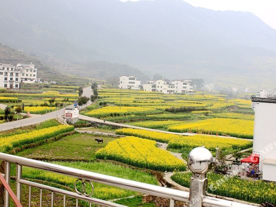 Шанграо: Longyuan Inn