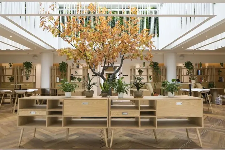 Чунцин: Bindun Langyi Hotel