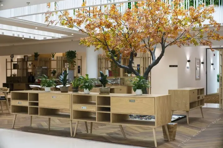 Чунцин: Bindun Langyi Hotel