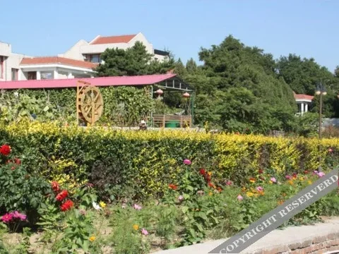Баодин: Wanglong Resort