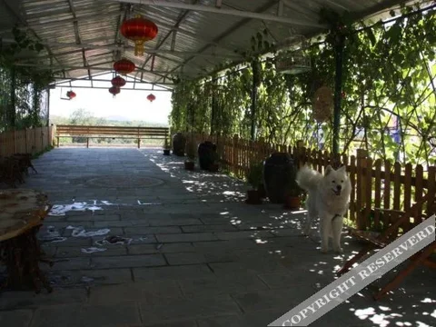Баодин: Wanglong Resort
