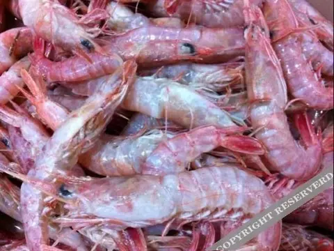 Жичжао: Rizhaoqingxinjuyujia