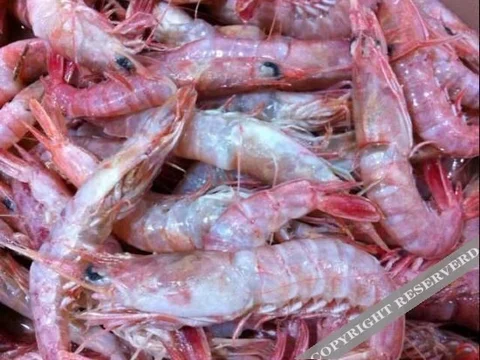 Жичжао: Rizhaoqingxinjuyujia