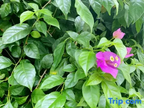Луань: Tiantangzhai Laozhujia Farmhouse Inn
