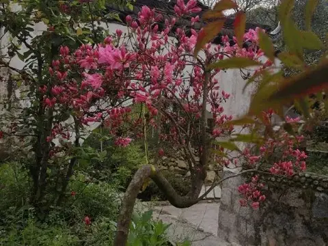 Луань: Tiantangzhai Laozhujia Farmhouse Inn