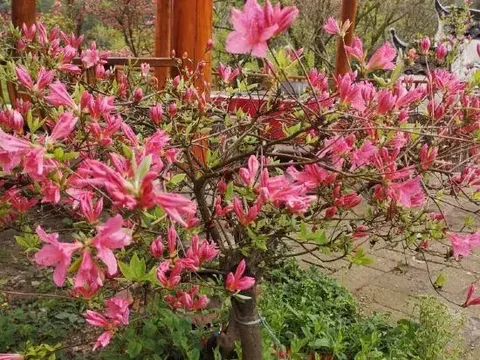 Луань: Tiantangzhai Laozhujia Farmhouse Inn