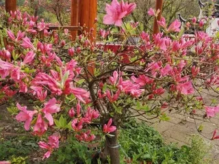 Луань: Tiantangzhai Laozhujia Farmhouse Inn