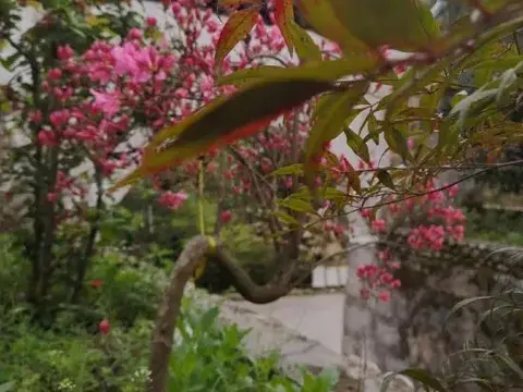 Луань: Tiantangzhai Laozhujia Farmhouse Inn