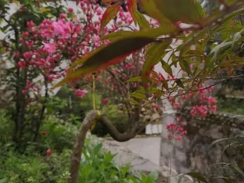 Луань: Tiantangzhai Laozhujia Farmhouse Inn