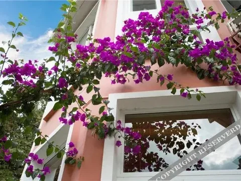 Баошань: Sanyueshe Theme Inn