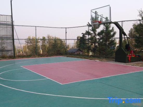 Чжэнчжоу: Zhaojian Shanju Hotel