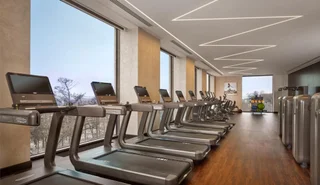 Москва: Отель Hyatt Regency Moscow Petrovsky Park