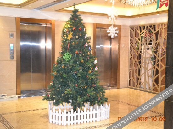 Чжэнчжоу: Weilai Hotel