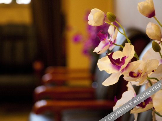 Хэйхэ: St. Petersburg Business Club