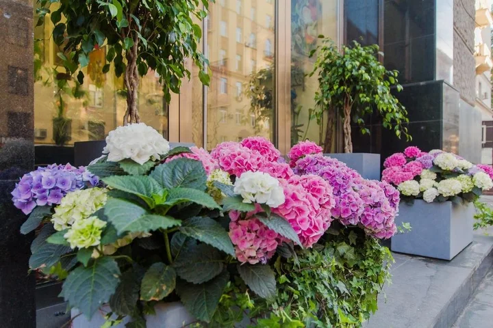 Москва: Tverskaya Apartment