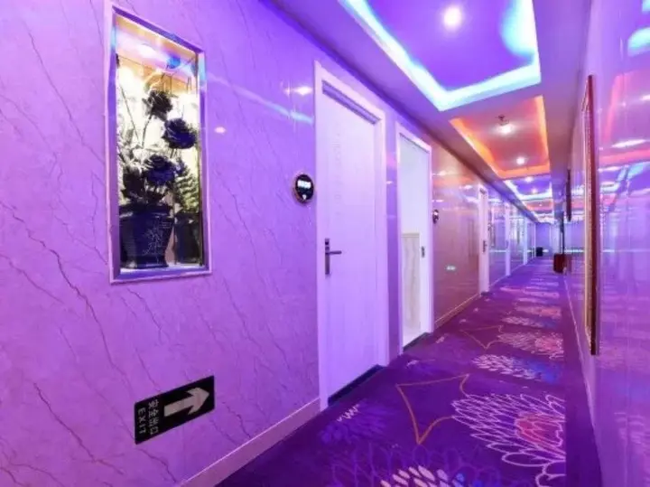 Шанхай: Shanghai Zhijin Hotel