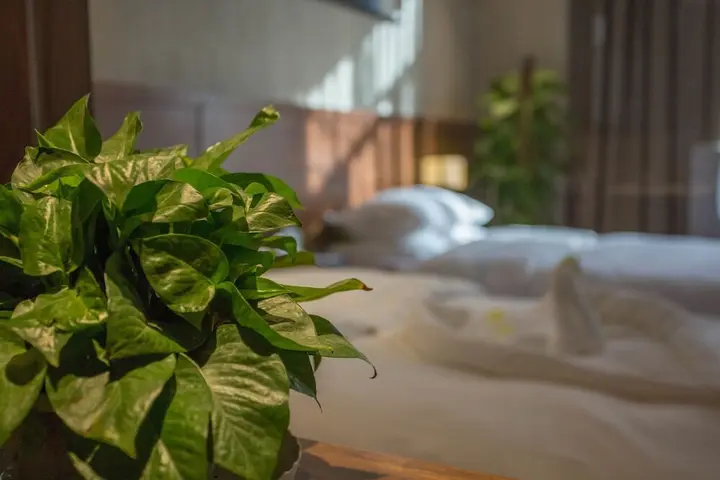 Яньтай: Yantai Dexin International Hotel