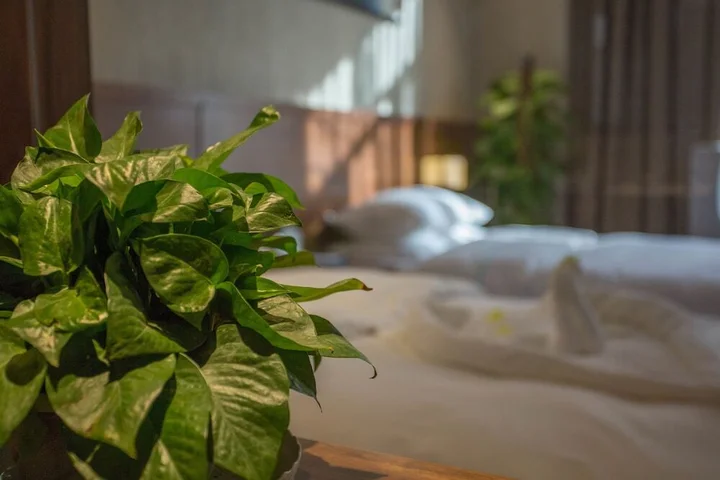 Яньтай: Yantai Dexin International Hotel