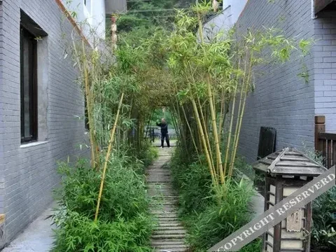 Мую: Yinju Xiangxi Inn