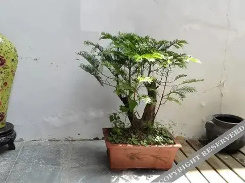 Мую: Yinju Xiangxi Inn