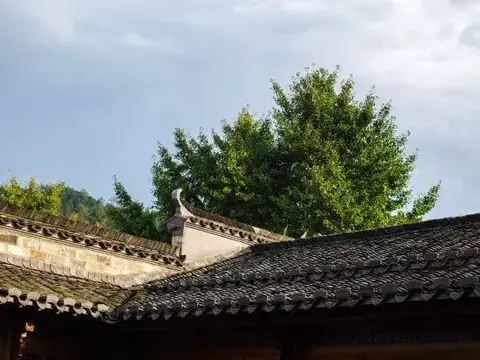 Хуаншань: Liuzhu Dongyuan Boutique Hostel