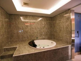 Чжэньцзян: Gushi Hotel