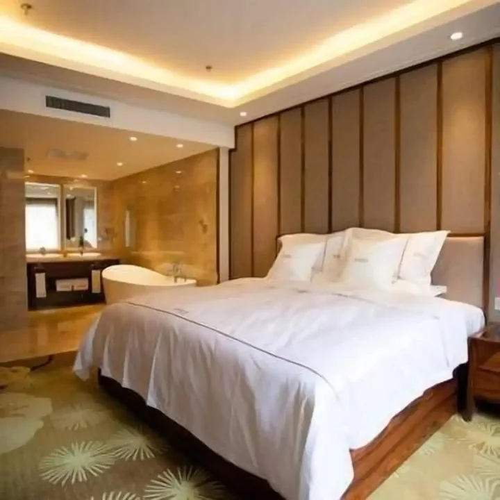 Чанчунь: Changchun Regent Hotel