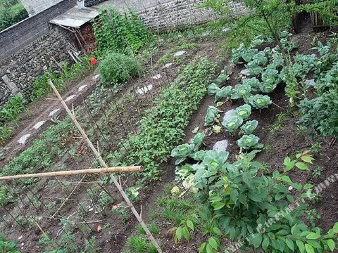 Хуаншань: Matouqiang Hostel