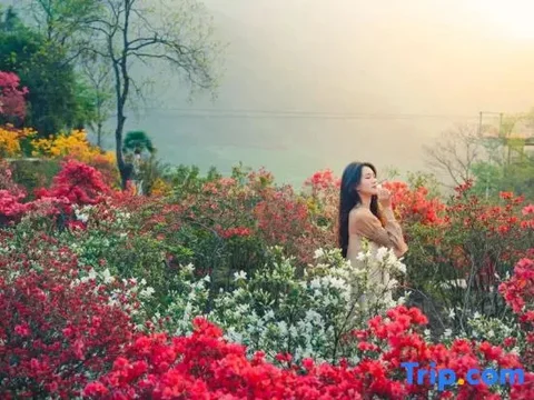 Шанграо: Huangling Shaiqiu Meisu (Huangling Scenic Area Branch)