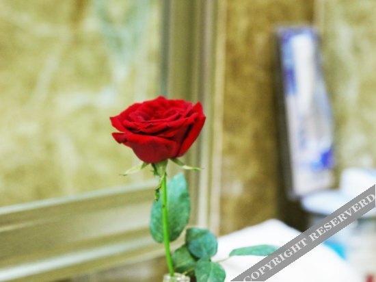 Цюйцзин: Zheshang Hotel