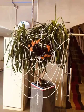 Уси: ibis Wuxi Jiangnan University Hotel